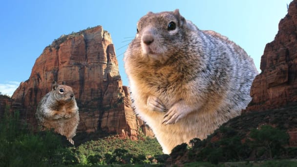 An edited image of giant squirrels in Zion National Park.