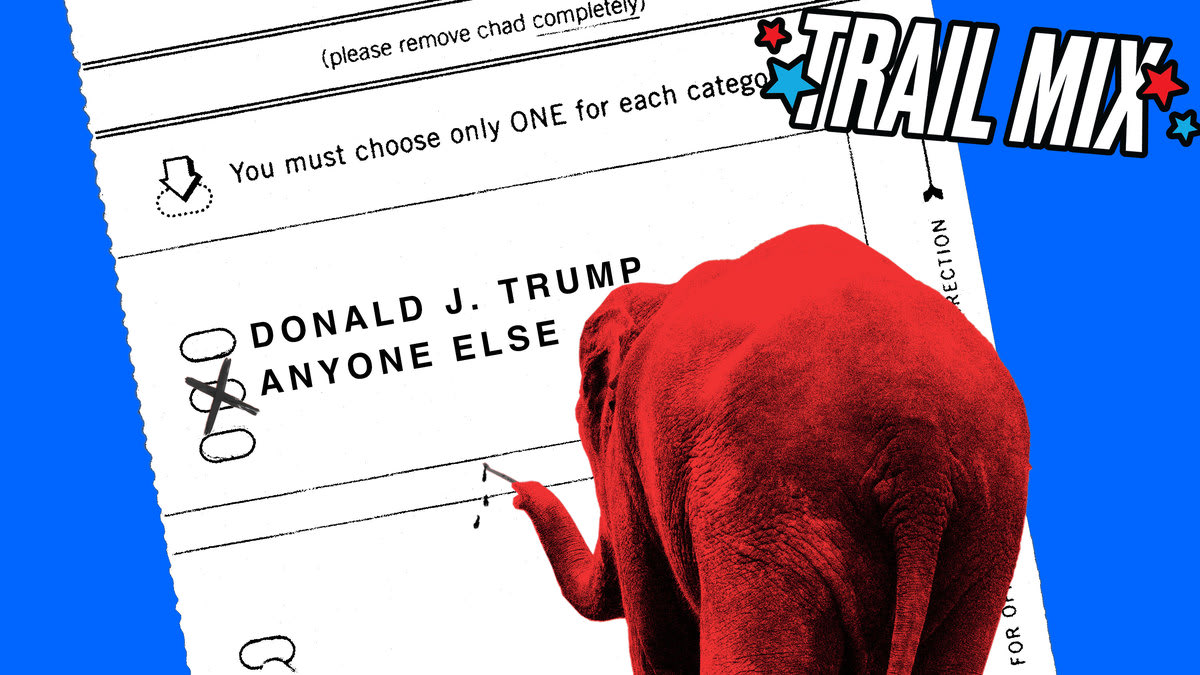 Alt: A photo illustration of an elephant checking off “anyone else” on a ballot with Donald Trump.