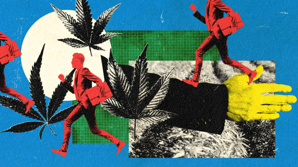 A photo illustration showing marijuana and a hemp farm