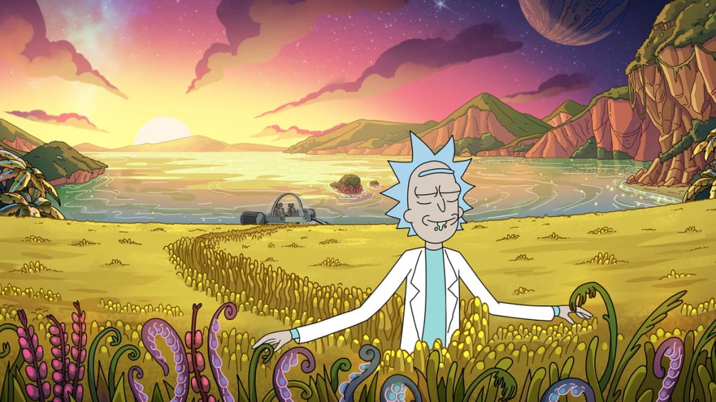 Rick in a field from a ‘Rick and Morty’ still