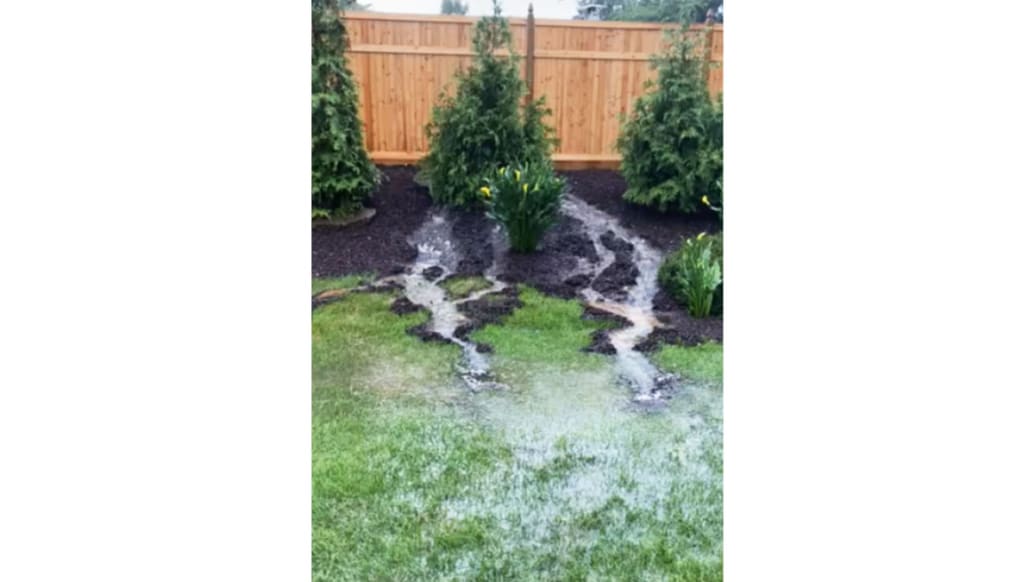 A photo depicting flooding in David Halstead's yard.
