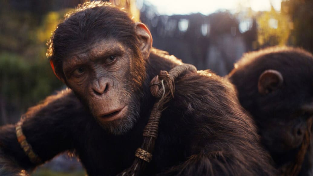 A photo including Noa in the film Kingdom of the Planet of the Apes