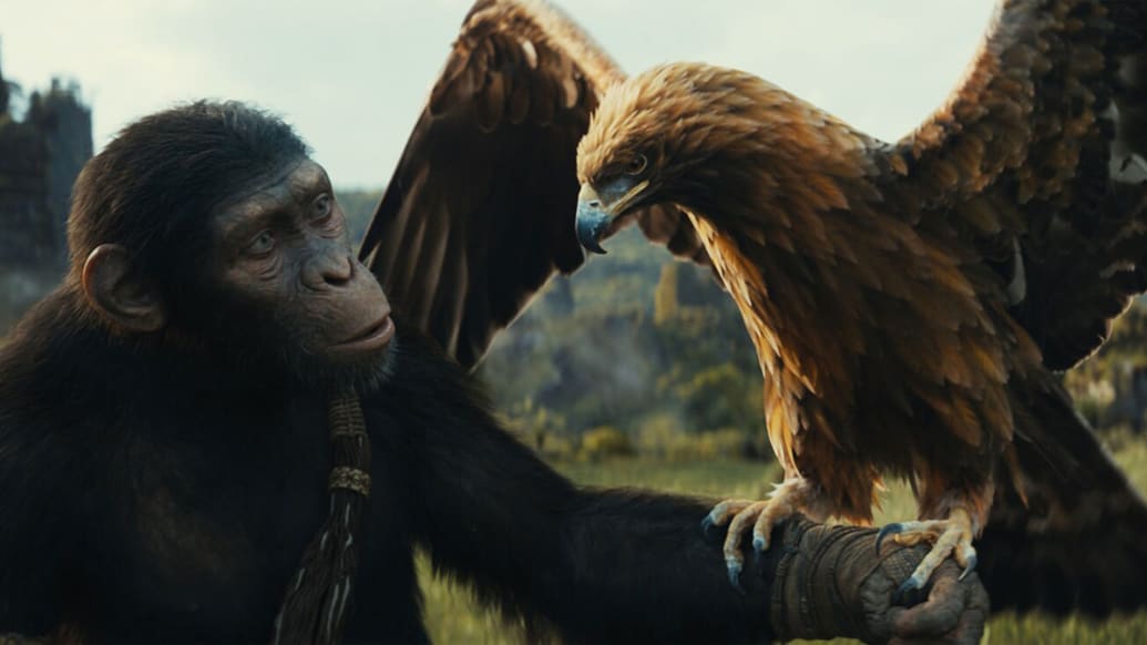 A photo including Noa in the film Kingdom of the Planet of the Apes