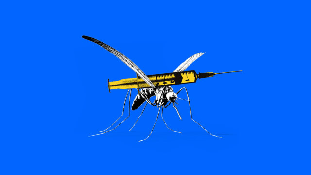 Jon Knight was appointed to a voluntary position focused on mosquito control in Shasta County despite his beliefs that “Japanese scientists who have created flying syringes that will mass-vaccinate” people.  