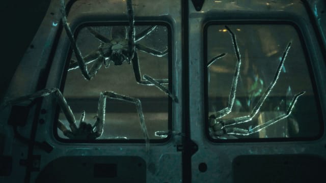 A still including spiders from the film Infested on Shudder