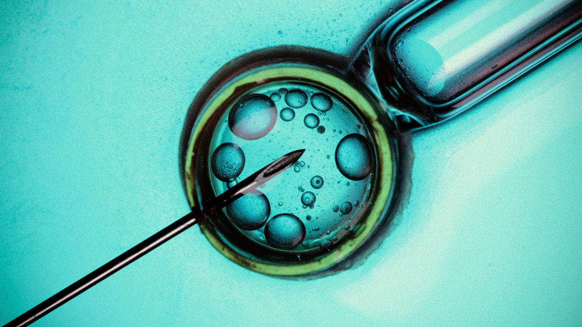 Couple Says ‘Toxic’ Fertility Oil Destroyed Their Embryos