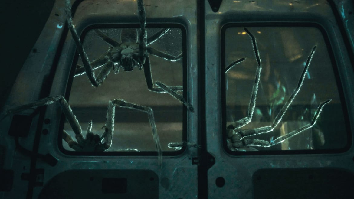 ‘Infested’: The Horror Movie That Used 200 Real Spiders to Scare Audiences