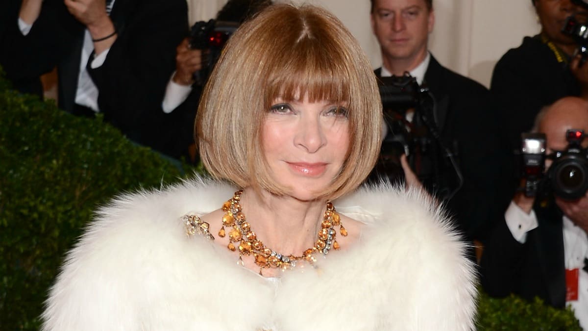 Does Anna Wintour Want to Be a Diplomat?
