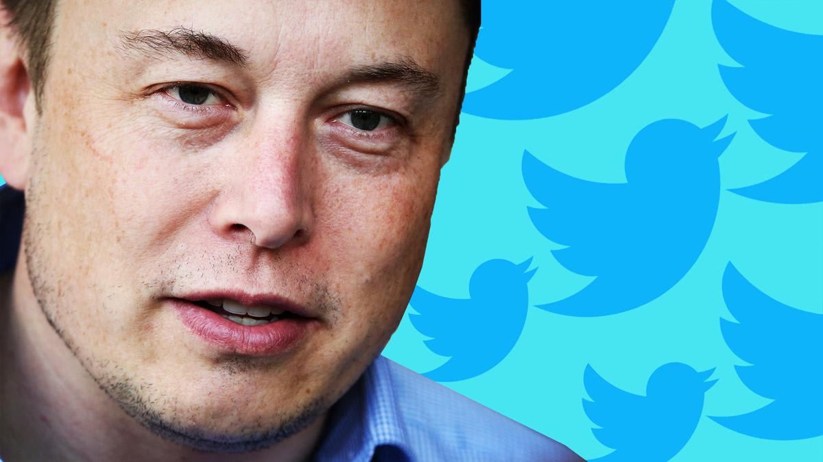 What It’s Like When Elon Musk’s Twitter Mob Comes After You