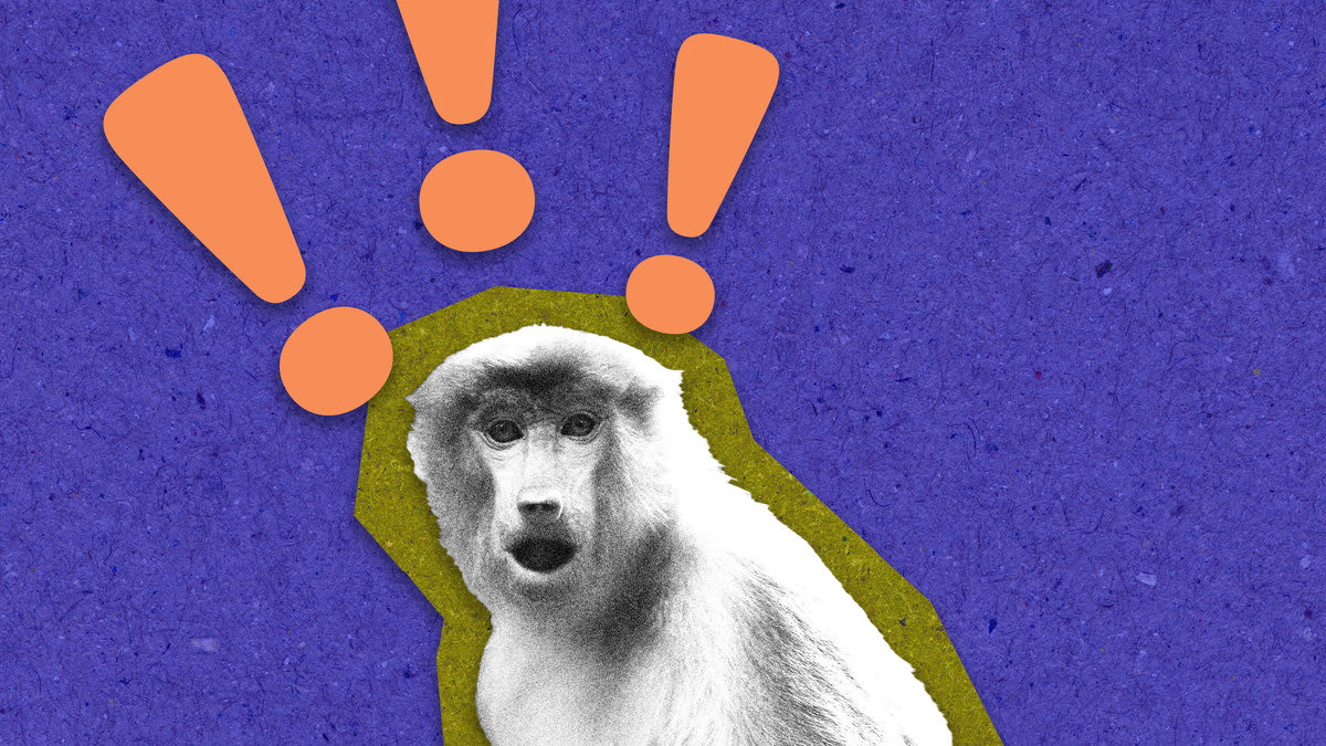 Monkeypox Is Spreading During Sex—and That Is a Relief - The Daily Beast