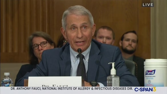 Fauci Burns Rand: 'You Don't Know What You're Talking About'