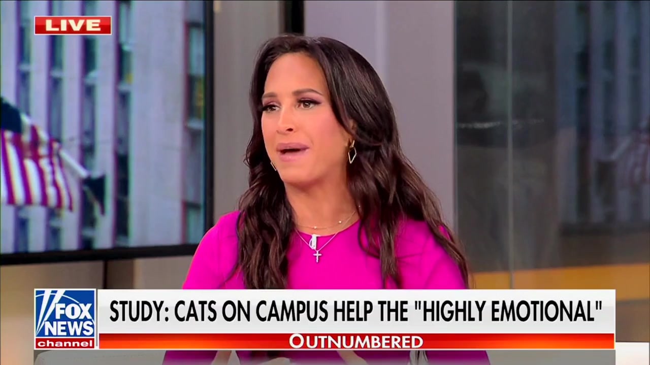 Fox News perd la tête à cause des chats sur le campus, déclare que ces enfants “ont besoin d’une gifle !”