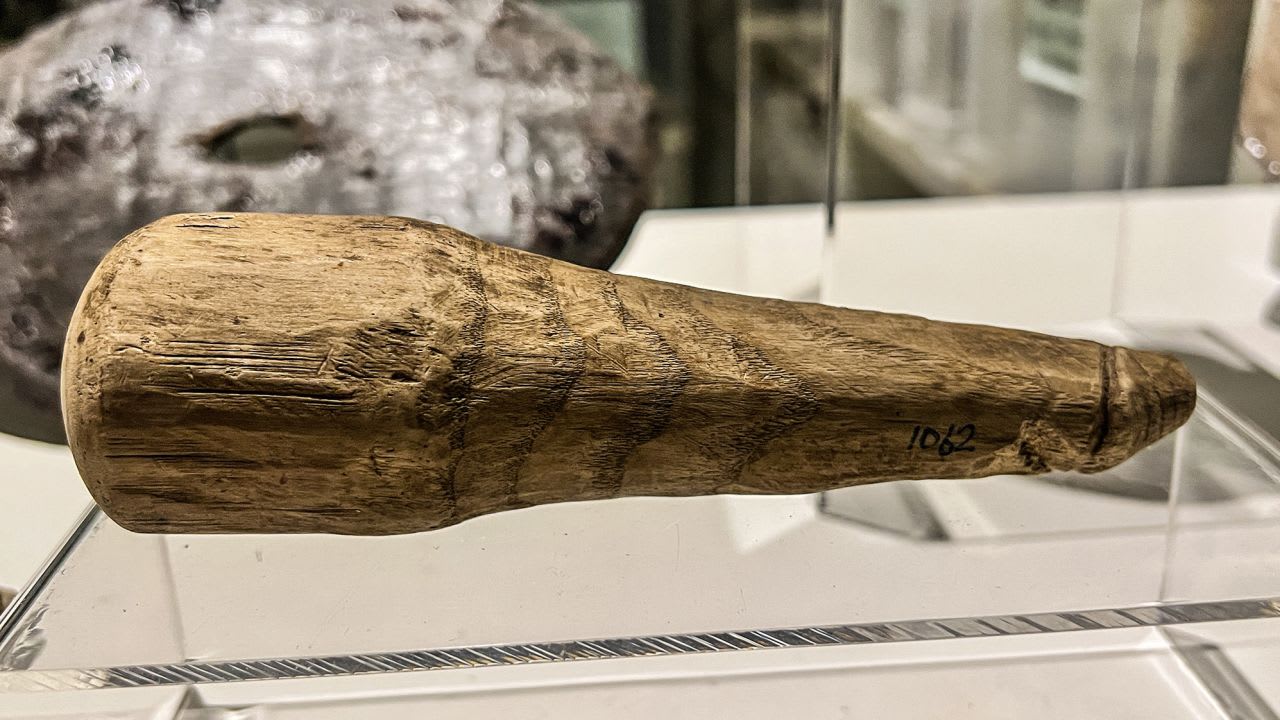 A wooden object found at the Vindolanda fort in England which is now believed to be the only lifesize Roman dildo ever discovered.