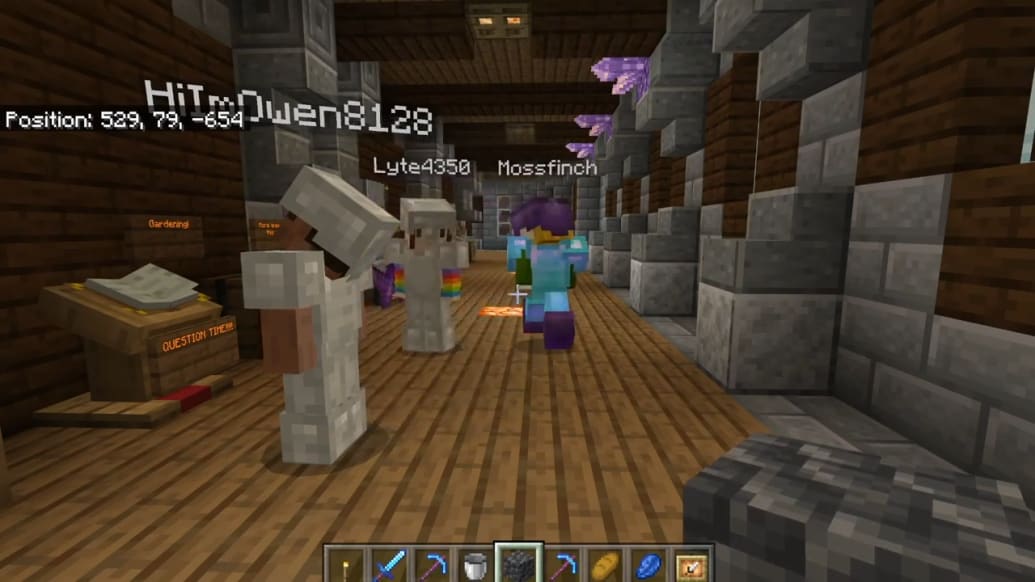 Une capture d'écran d'une session Minecraft