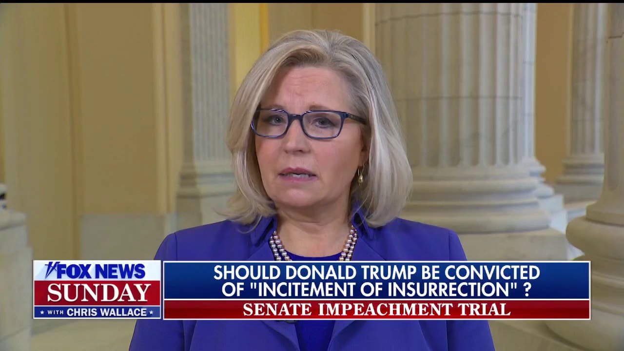 Liz Cheney says Trump’s penny tweet during riots could be a premeditated attempt to provoke violence ‘