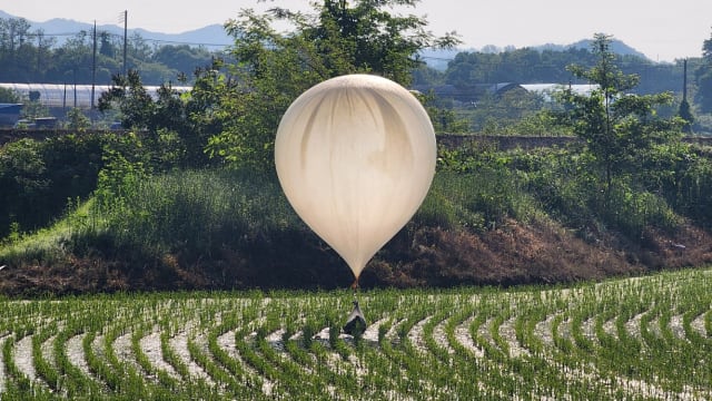 A balloon believed to have been sent by North Korea, carrying various objects including what appeared to be trash and excrement, is seen over a rice field at Cheorwon, South Korea, May 29, 2024. 