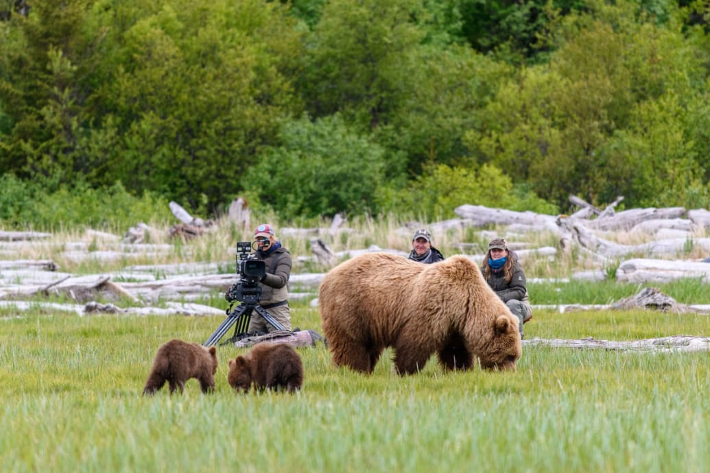 Photo of Queens cinematographer and mentee Erin Ranney films a bear and her cubs in Alaska. 