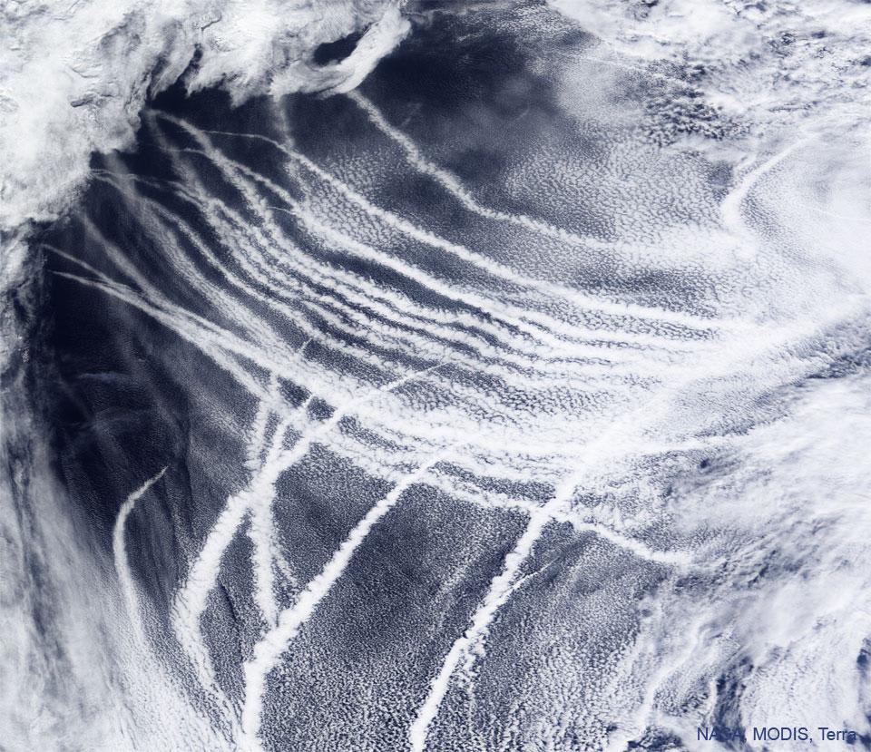 Ship tracks over the pacific ocean caused by shipping container vessels. 
