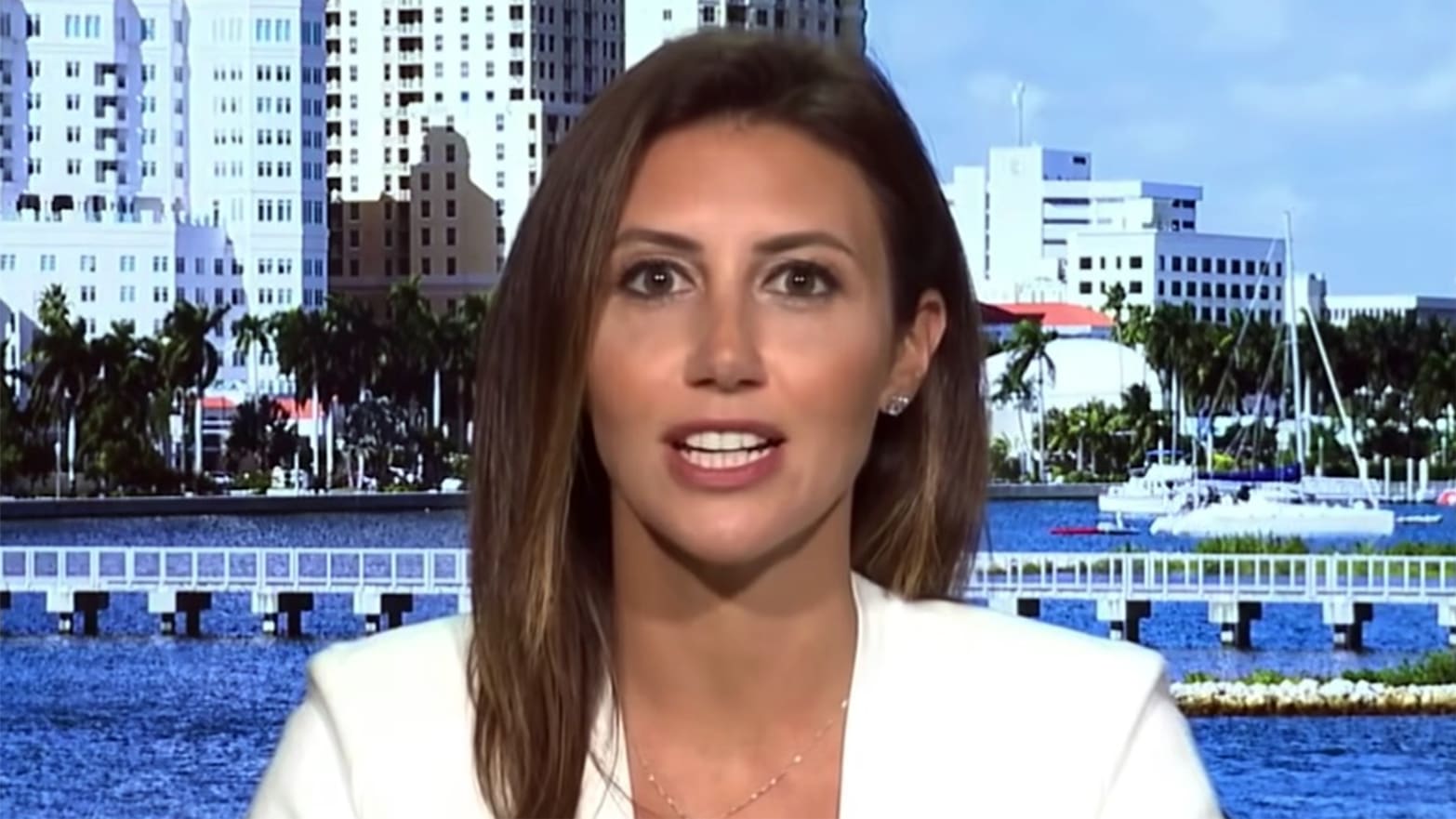 Donald Trumps Defense Lawyer Alina Habba Sued by Employee for Allegedly Yelling N-word picture