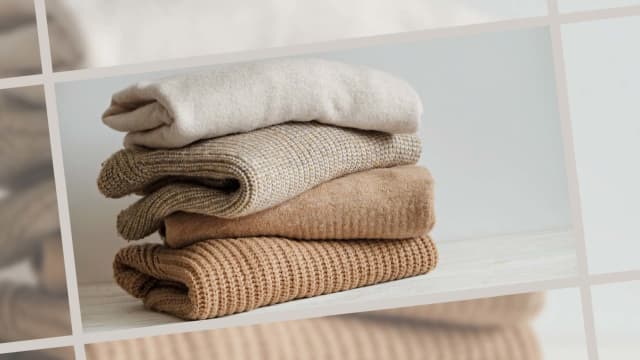 Best Affordable Cashmere Sweaters | Scouted, The Daily Beast
