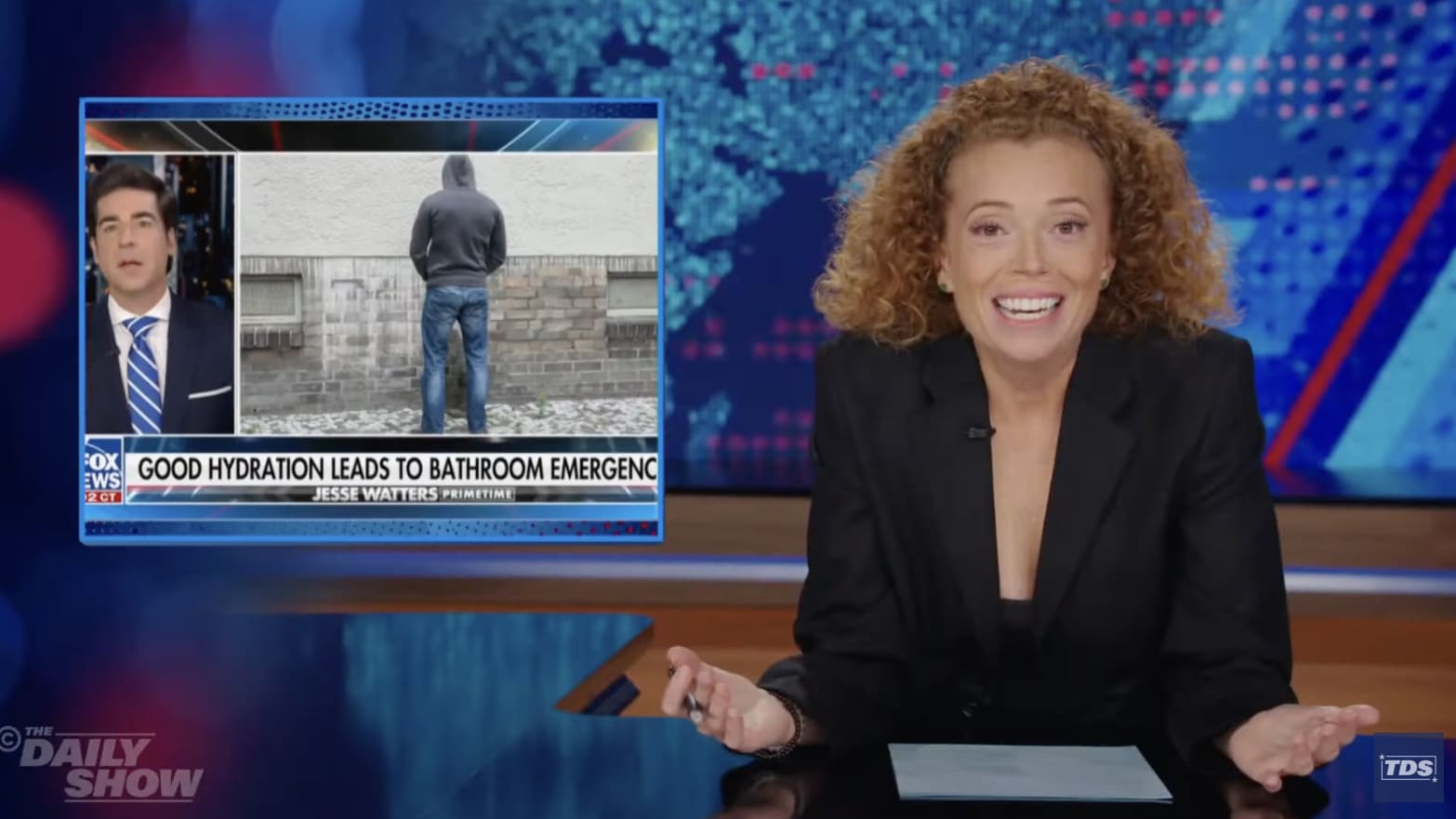 The Daily Show guest host Michelle Wolf