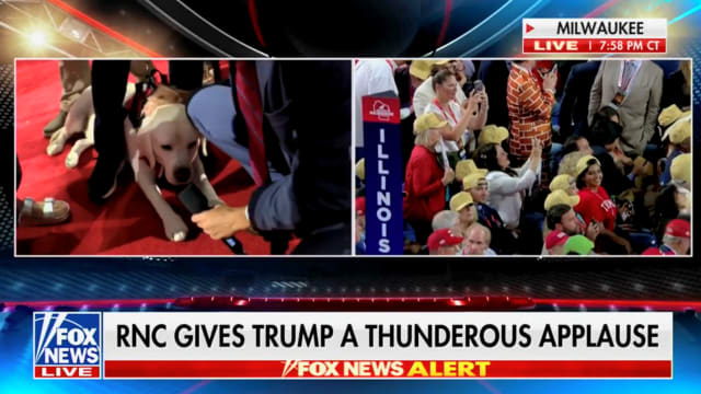 Fox News cuts away from Kimberly Guilfoyle’s speech at the Republican National Convention to air an interview with a dog.