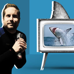 Meg 2' and the Terrible Shark Movies We Love: What's Next for Them?