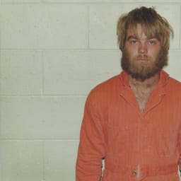 Making a Murderer': Steven Avery again looks to blame different