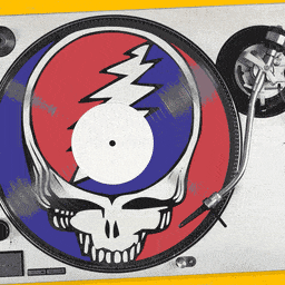 How I Learned to Stop Worrying and Love the Grateful Dead